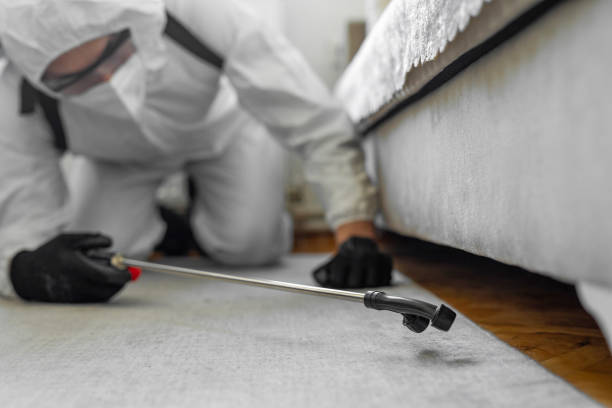 Professional Bed Bug Control technician working in Clinton, AR